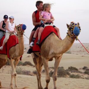 Camel Trekking in Abu Dhabi