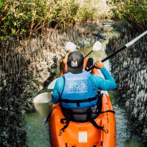Kayak Tour of the Mangroves in Abu Dhabi