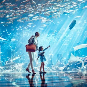 Lost Chambers Aquarium at Atlantis The Palm