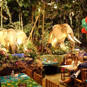 Meal at Rainforest Cafe – Dubai Mall