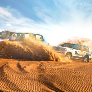 Morning Desert Safari in Abu Dhabi